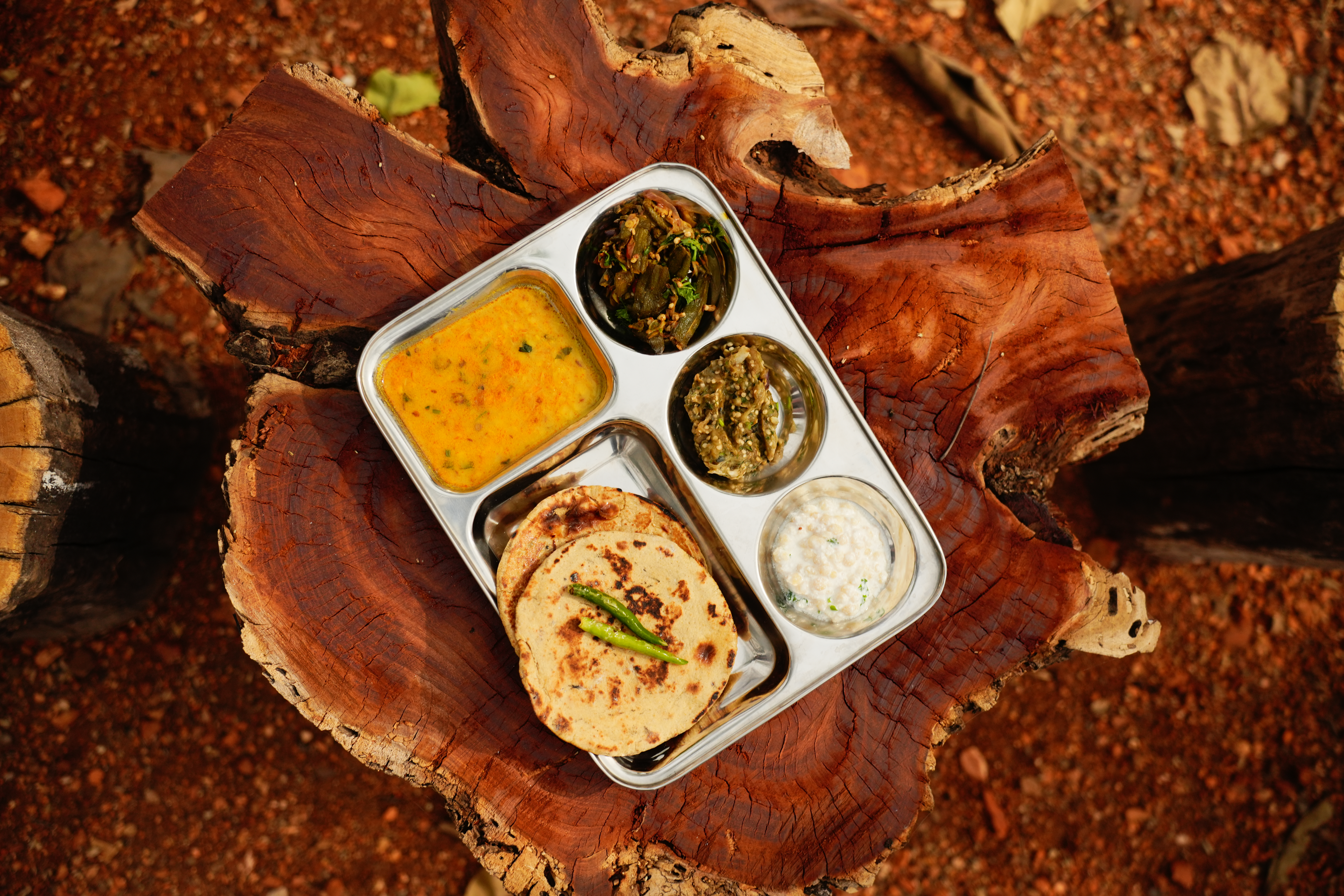 Traditional thali Satpura Tiger Trails organic local cuisine Madhya Pradesh farmstay