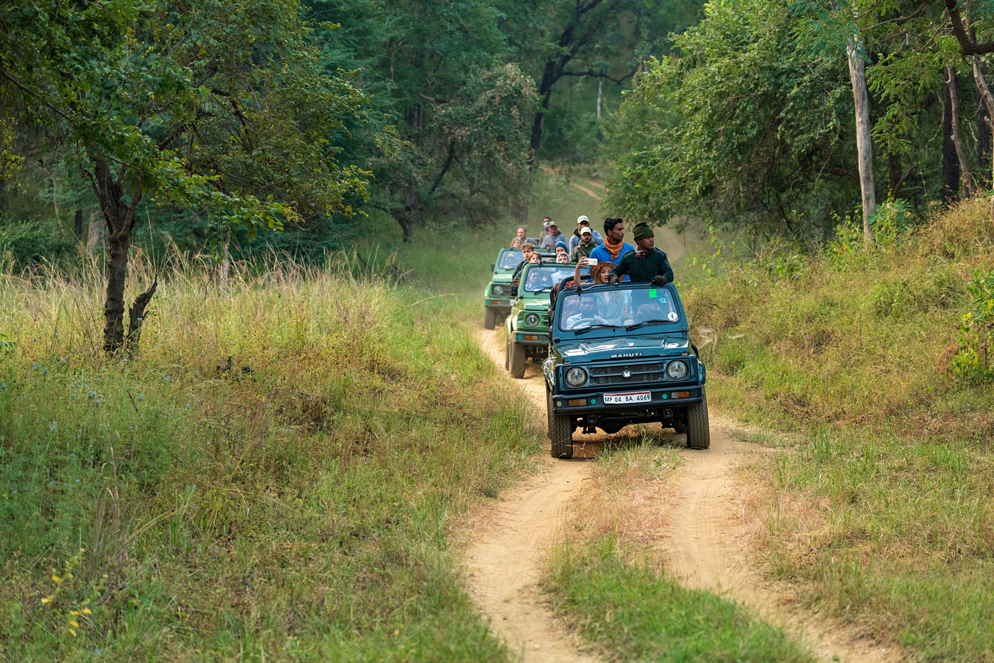 Satpura Tiger Reserve Madai Gate jeep safari booking Madhya Pradesh wildlife