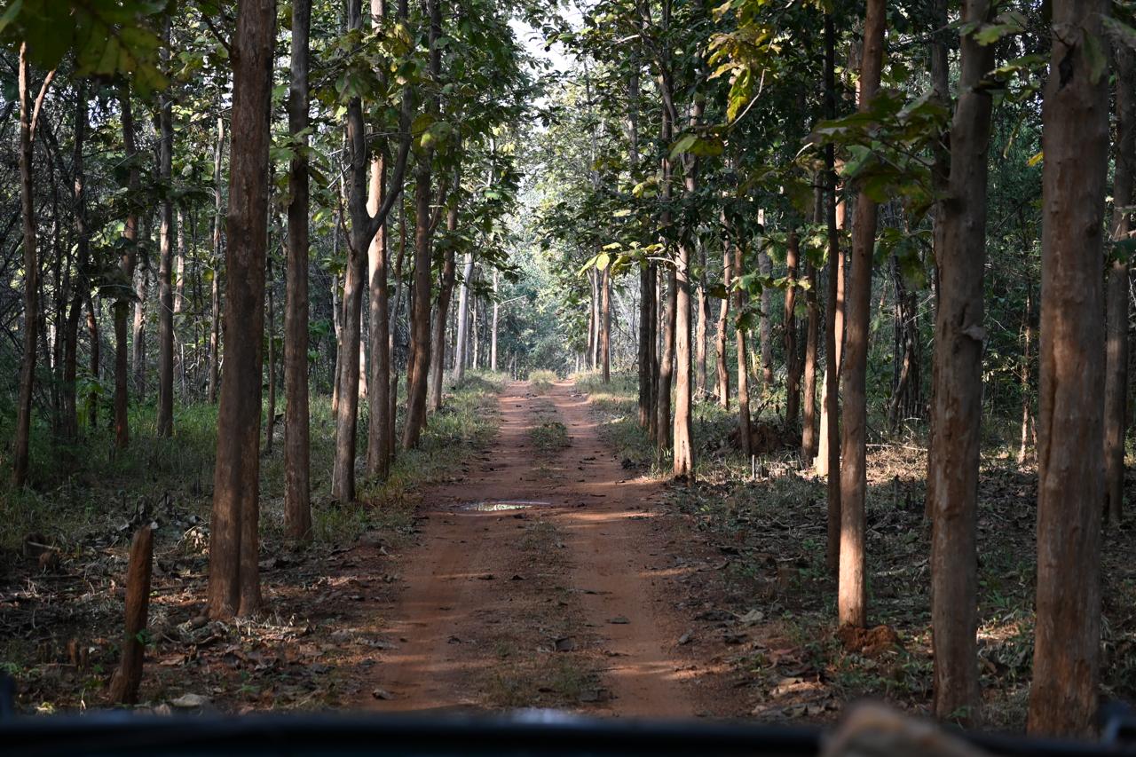 Madai Denwa riverfront Satpura Tiger Reserve boat safari birdwatching