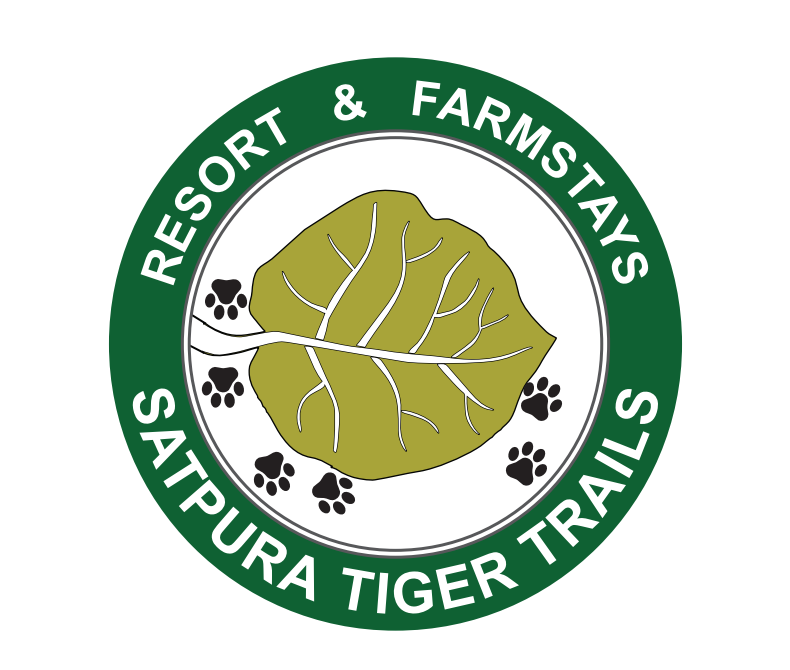 Satpura Tiger Trails